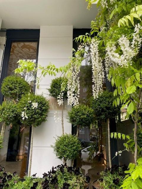 Ab Residences -Cihangir Luxury Antique Apartment Isztambul Kültér fotó